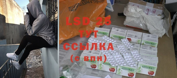 ГАЛЛЮЦИНОГЕННЫЕ ГРИБЫ Аркадак