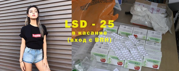 ГАЛЛЮЦИНОГЕННЫЕ ГРИБЫ Аркадак